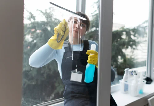 Nettoyage de vitres intérieures et extérieures à Mouxy
